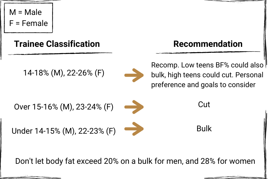 beginner should i bulk or cut