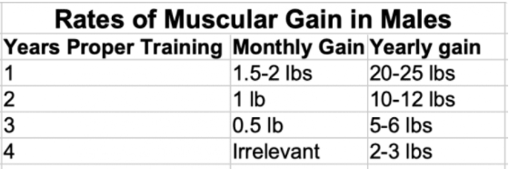 how fast should you gain weight when bulking